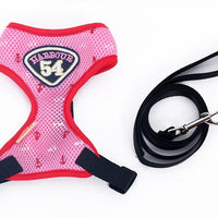 HKM-3360317 Durable Nylon Pet Sling with Adjustable Reflective Collar and Traction Rope