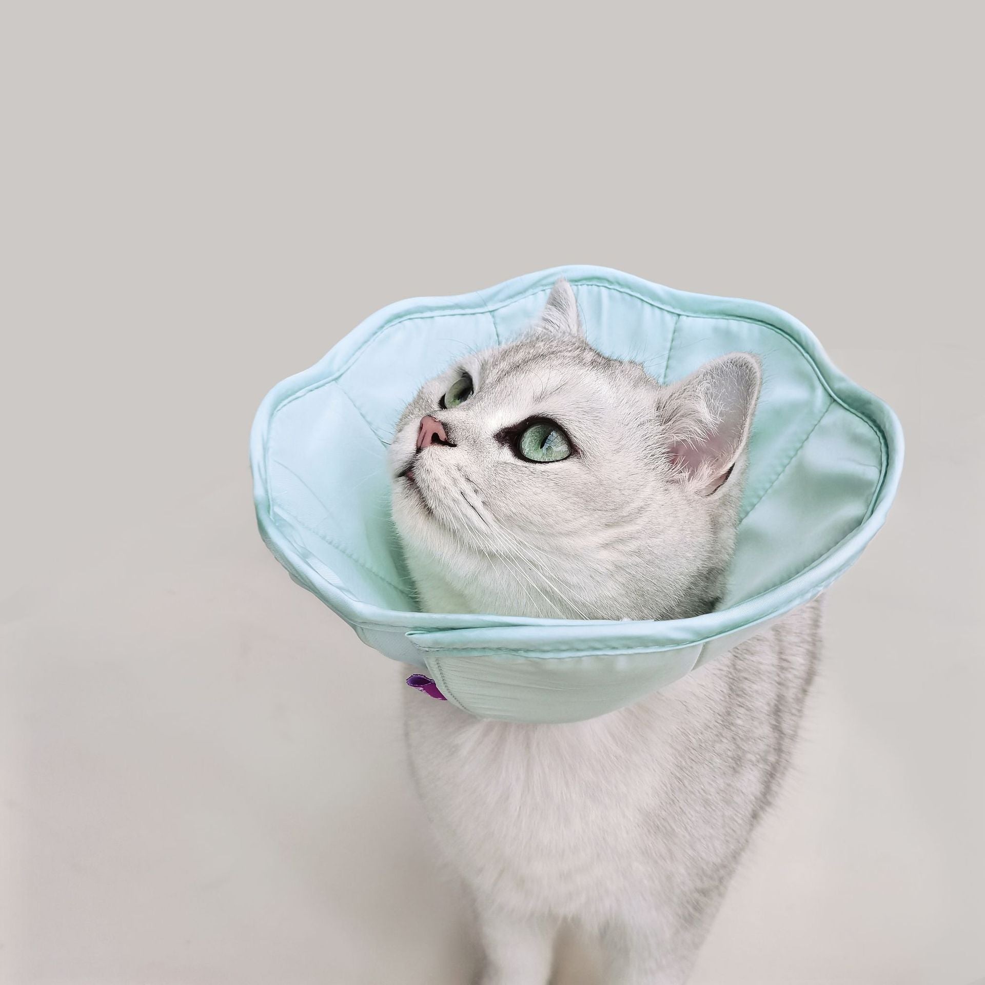 HKM-336083 Pet Postoperative Wound Anti-scratch Bite Anti-licking Collar