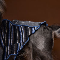 HKM-3369149 Striped Zipper Sweater for Pets - Blue & Brown, Casual Polyester Clothing in Multiple Sizes