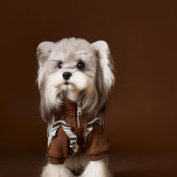 HKM-3369149 Striped Zipper Sweater for Pets - Blue & Brown, Casual Polyester Clothing in Multiple Sizes
