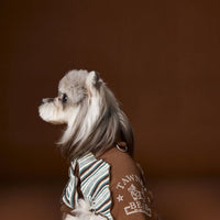 HKM-3369149 Striped Zipper Sweater for Pets - Blue & Brown, Casual Polyester Clothing in Multiple Sizes