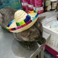 HKM-3369405 Stylish Straw Mini Pet Hat with Adjustable Cotton Rope Strap - One Size