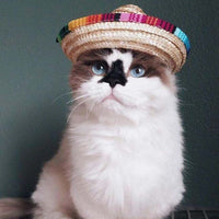 HKM-3369405 Stylish Straw Mini Pet Hat with Adjustable Cotton Rope Strap - One Size