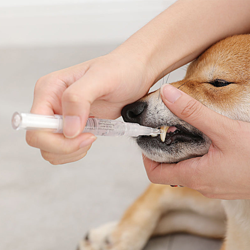HKM-3372221 Pet Teeth Cleaning Pen Kit for Dogs and Cats - 2-Piece Tartar Removal and Gum Care Set