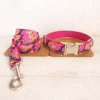 HKM-3374141 Pink Graffiti Adjustable Collar with Traction Leash for Dog Training