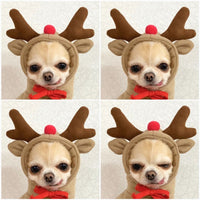 HKM-3381181 Cute Fruit-Themed Hoodies for Small Dogs - Winter Fleece Pet Clothing for Puppies and Kittens