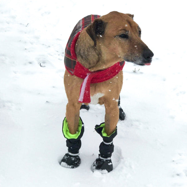 HKM-3382717 Waterproof and Snowproof Dog Shoes - Comfortable Rubber Rain Boots in Various Colors