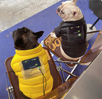 HKM-3384253 Warm Down Jacket for Small and Medium Dogs and Cats - Stylish and Comfortable in Yellow and Black