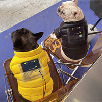 HKM-3384253 Warm Down Jacket for Small and Medium Dogs and Cats - Stylish and Comfortable in Yellow and Black