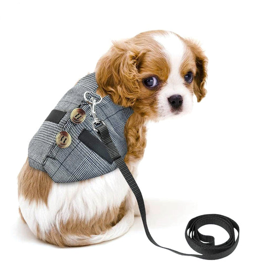 HKM-3385149 Stylish Rabbit Dress with Comfortable Chest Strap Leash for Small Pets