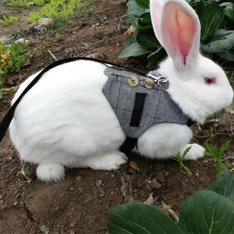 HKM-3385149 Stylish Rabbit Dress with Comfortable Chest Strap Leash for Small Pets