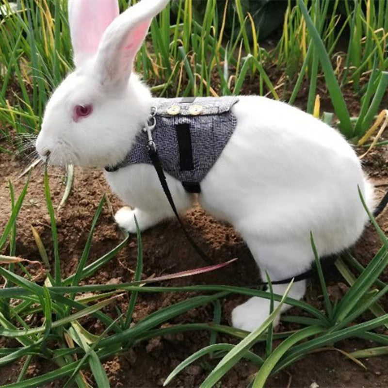 HKM-3385149 Stylish Rabbit Dress with Comfortable Chest Strap Leash for Small Pets