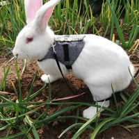 HKM-3385149 Stylish Rabbit Dress with Comfortable Chest Strap Leash for Small Pets