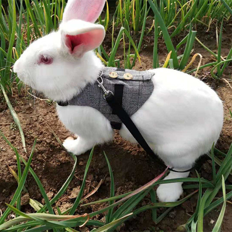 HKM-3385149 Stylish Rabbit Dress with Comfortable Chest Strap Leash for Small Pets