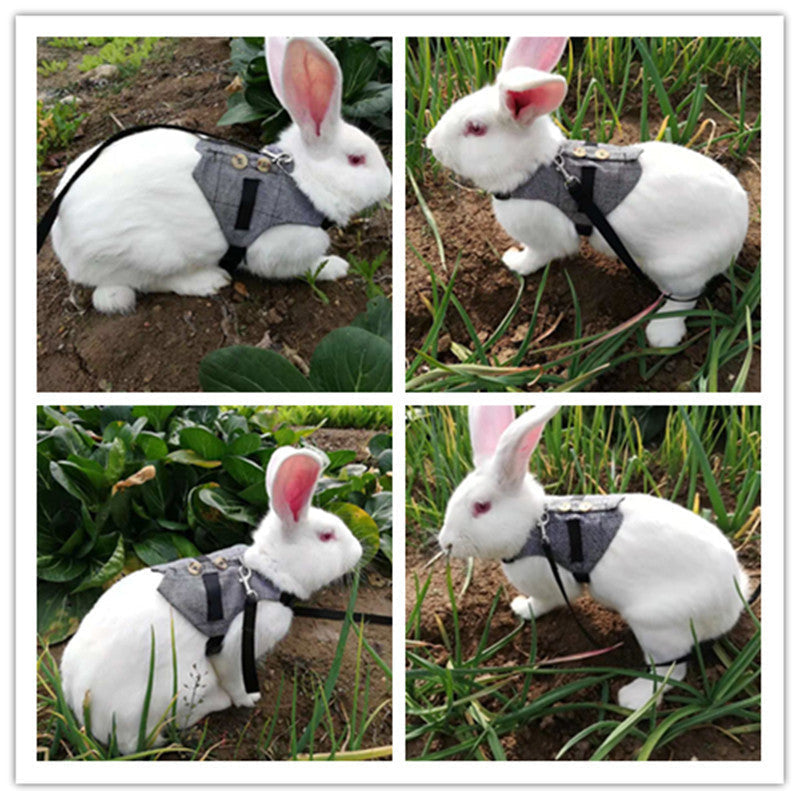HKM-3385149 Stylish Rabbit Dress with Comfortable Chest Strap Leash for Small Pets