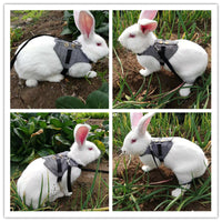 HKM-3385149 Stylish Rabbit Dress with Comfortable Chest Strap Leash for Small Pets