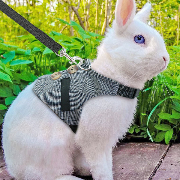 HKM-3385149 Stylish Rabbit Dress with Comfortable Chest Strap Leash for Small Pets