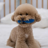 HKM-3385533 Three-Piece Plush Dog Toy Set for Grooming Fun