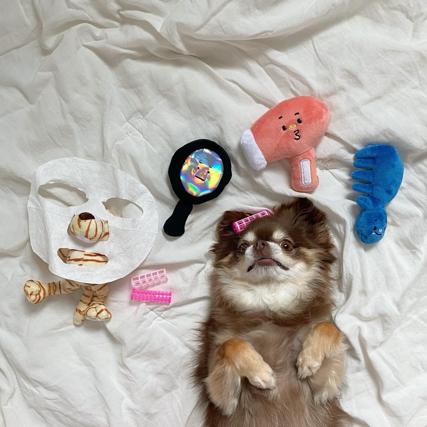 HKM-3385533 Three-Piece Plush Dog Toy Set for Grooming Fun
