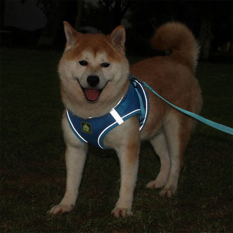 HKM-3396669 Reflective Polyester Chest Strap for Enhanced Safety and Visibility