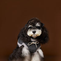 HKM-3401917 Striped Casual Sleeveless Sweater for Pets - Black, Coffee, Beige - Sizes XS to XXL
