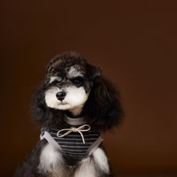 HKM-3401917 Striped Casual Sleeveless Sweater for Pets - Black, Coffee, Beige - Sizes XS to XXL