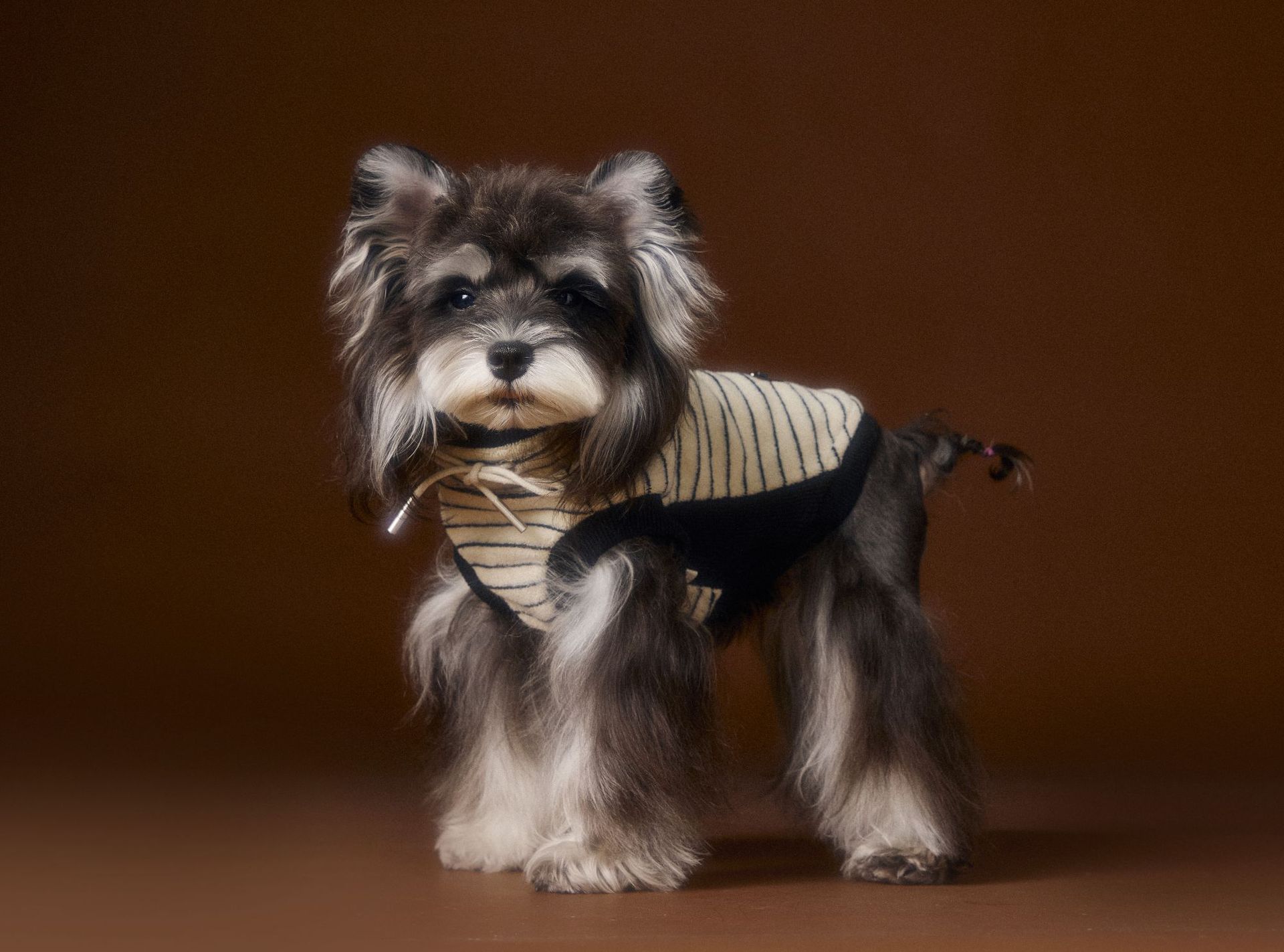 HKM-3401917 Striped Casual Sleeveless Sweater for Pets - Black, Coffee, Beige - Sizes XS to XXL