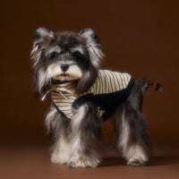 HKM-3401917 Striped Casual Sleeveless Sweater for Pets - Black, Coffee, Beige - Sizes XS to XXL