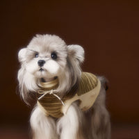 HKM-3401917 Striped Casual Sleeveless Sweater for Pets - Black, Coffee, Beige - Sizes XS to XXL