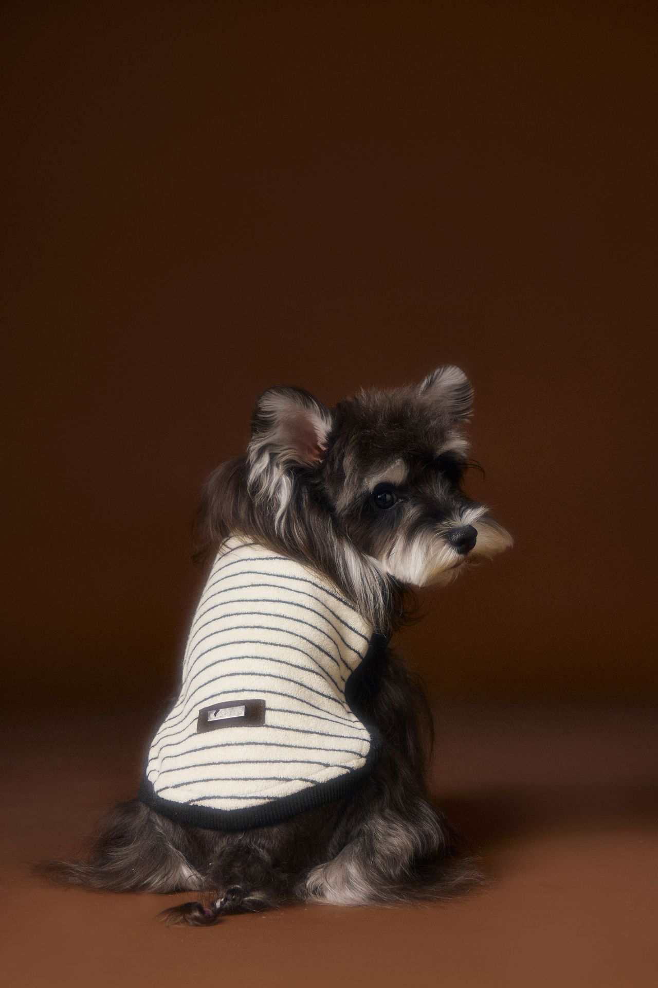 HKM-3401917 Striped Casual Sleeveless Sweater for Pets - Black, Coffee, Beige - Sizes XS to XXL