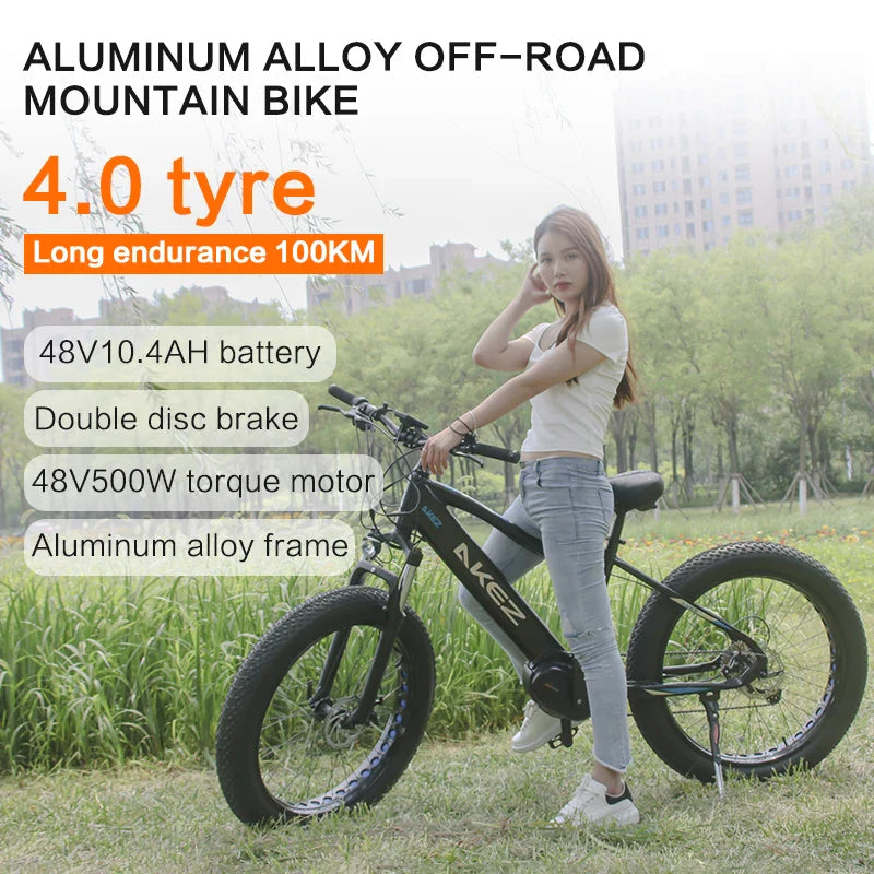 HKM-340307 48V 500W Mid-Motor Fat Tire Electric Bike for Snow & Off-Road with Aluminum Alloy Frame and Hydraulic Disc Brakes