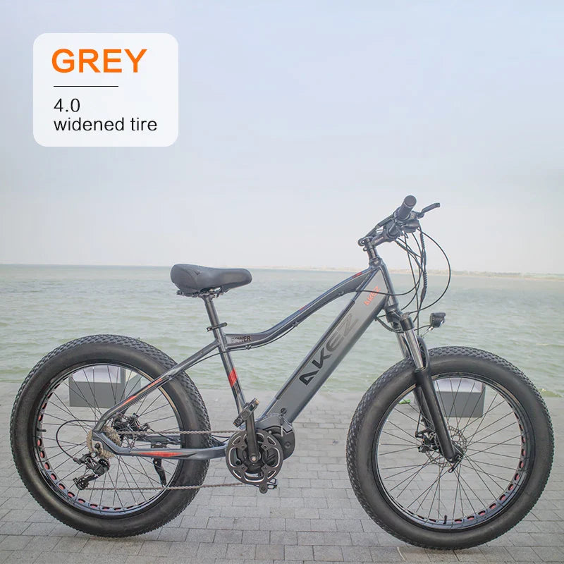 HKM-340307 48V 500W Mid-Motor Fat Tire Electric Bike for Snow & Off-Road with Aluminum Alloy Frame and Hydraulic Disc Brakes