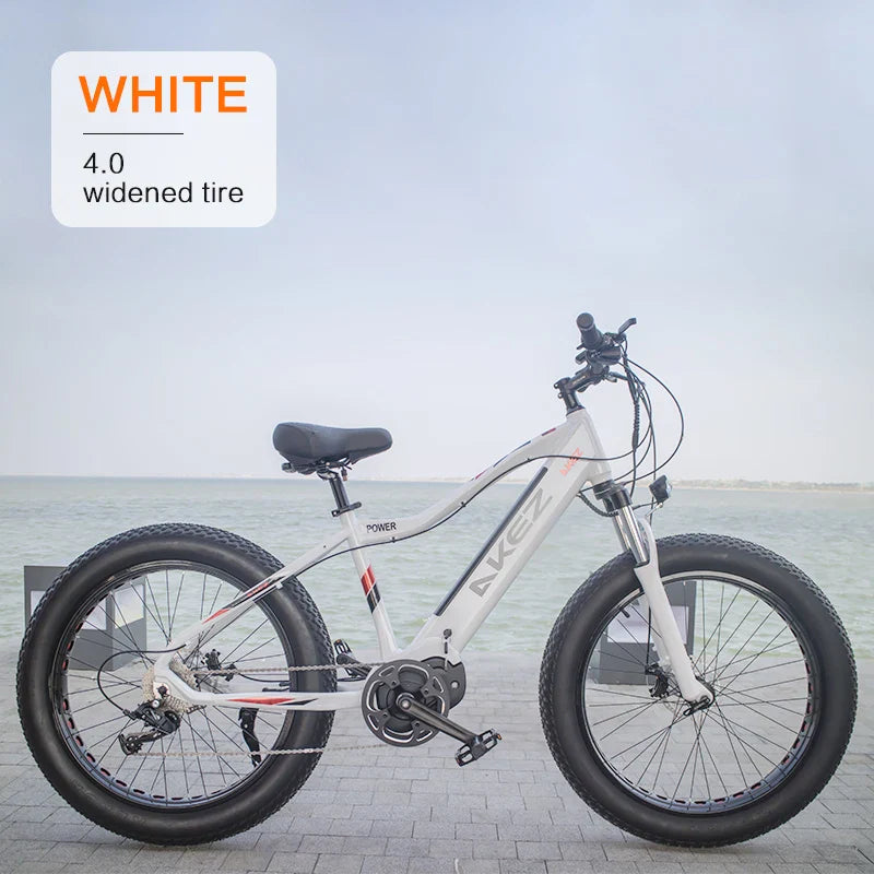 HKM-340307 48V 500W Mid-Motor Fat Tire Electric Bike for Snow & Off-Road with Aluminum Alloy Frame and Hydraulic Disc Brakes