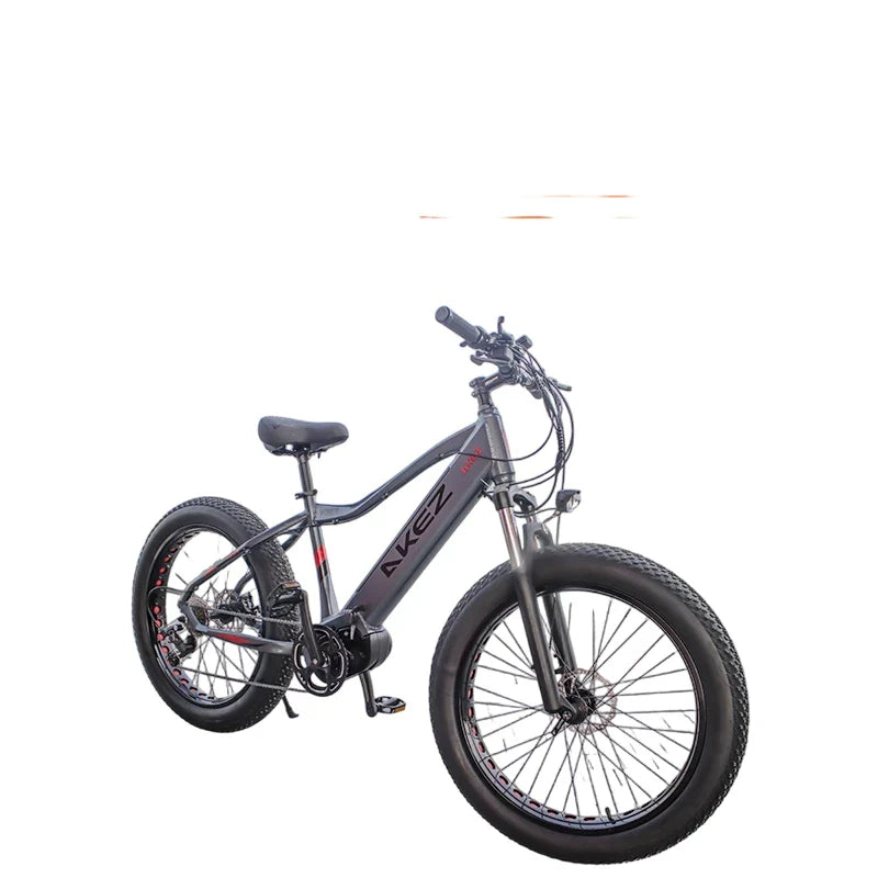 HKM-340307 48V 500W Mid-Motor Fat Tire Electric Bike for Snow & Off-Road with Aluminum Alloy Frame and Hydraulic Disc Brakes