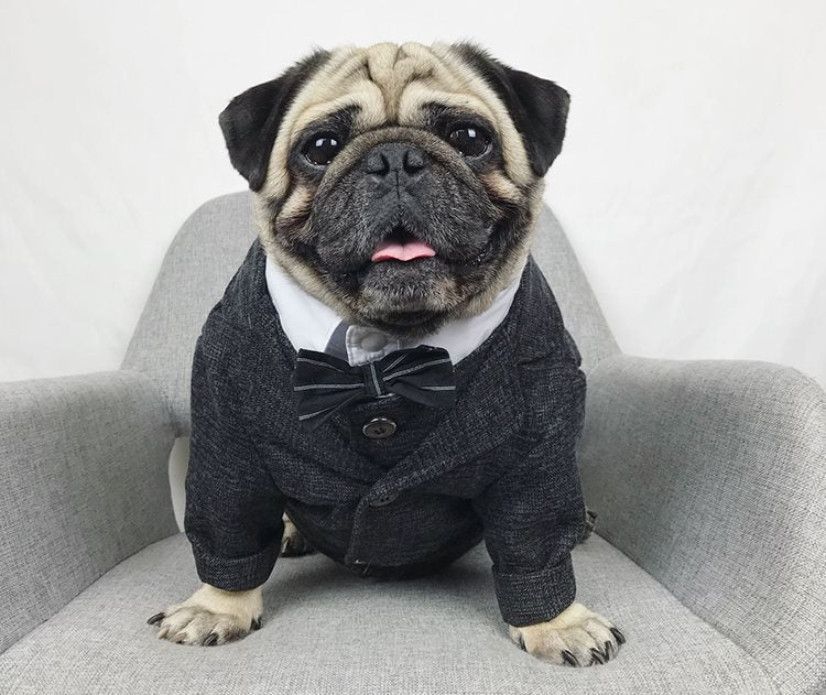 HKM-3407293 Casual Coral Fleece Pet Wedding Suit for Dogs - Available in Multiple Sizes