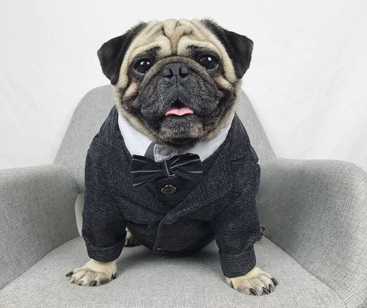 HKM-3407293 Casual Coral Fleece Pet Wedding Suit for Dogs - Available in Multiple Sizes