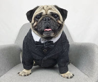 HKM-3407293 Casual Coral Fleece Pet Wedding Suit for Dogs - Available in Multiple Sizes