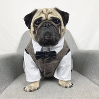 HKM-3407293 Casual Coral Fleece Pet Wedding Suit for Dogs - Available in Multiple Sizes