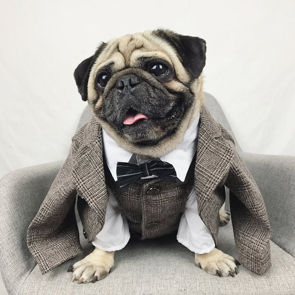 HKM-3407293 Casual Coral Fleece Pet Wedding Suit for Dogs - Available in Multiple Sizes