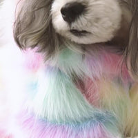 HKM-3409469 Rainbow Casual Pet Jacket - Polyester Vest for Small to Large Dogs