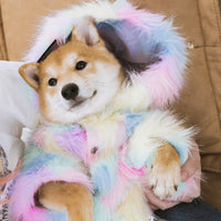 HKM-3409469 Rainbow Casual Pet Jacket - Polyester Vest for Small to Large Dogs