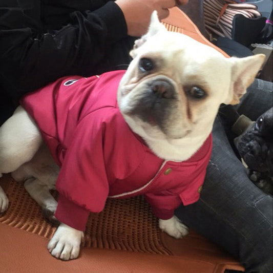HKM-3413949 Dog Winter Jacket with Padded Warmth and Velvet Lining - Available in Black, Red, Army Green