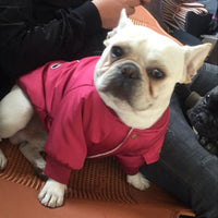 HKM-3413949 Dog Winter Jacket with Padded Warmth and Velvet Lining - Available in Black, Red, Army Green