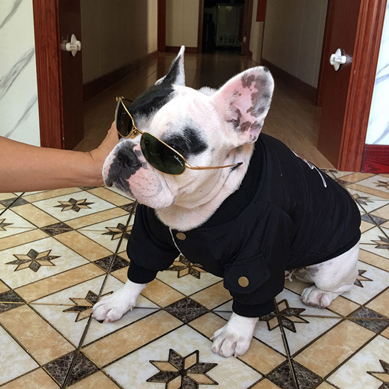 HKM-3413949 Dog Winter Jacket with Padded Warmth and Velvet Lining - Available in Black, Red, Army Green