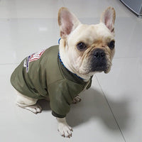 HKM-3413949 Dog Winter Jacket with Padded Warmth and Velvet Lining - Available in Black, Red, Army Green