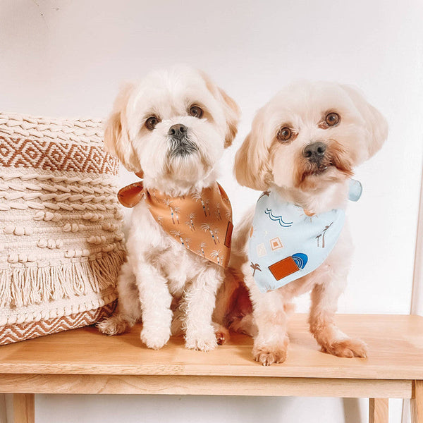 HKM-3416253 Multicolor Fashion Pet Bib with Unique Prints for Dogs
