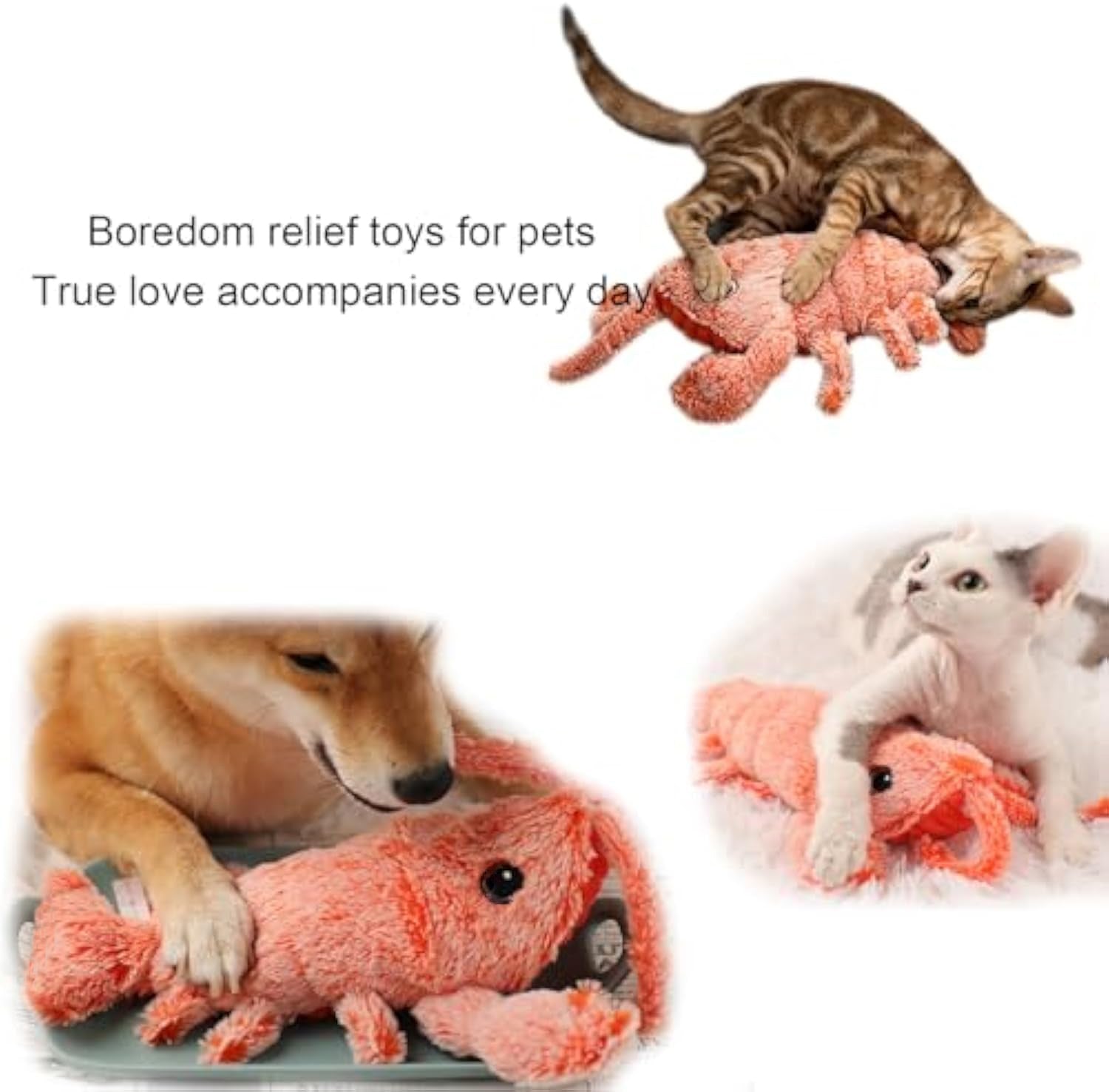 HKM-3421885 Cat and Small Dog Flopping Lobster Toy - Chewable, Catnip-Infused Kicker, USB-Rechargeable, and Washable