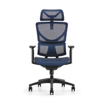 HKM-342227 Luxury High Back Adjustable Mesh Ergonomic Executive Swivel Chair for Office Use