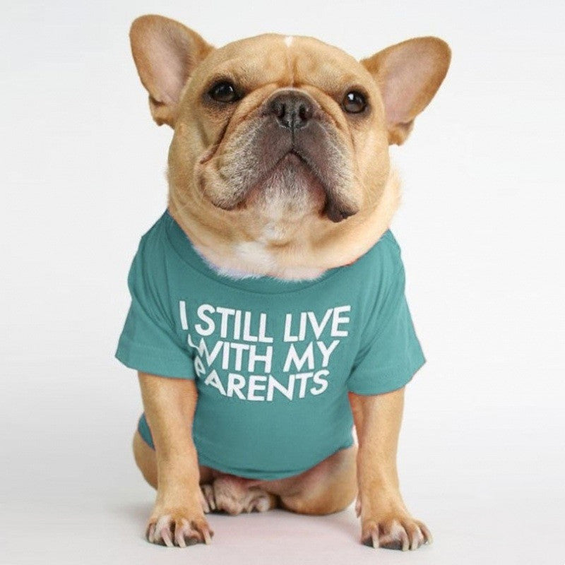HKM-3422781 Fadou Fashionable Cotton Turtleneck Round Neck T-Shirt for Pets in Various Colors