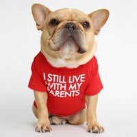 HKM-3422781 Fadou Fashionable Cotton Turtleneck Round Neck T-Shirt for Pets in Various Colors